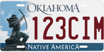 OK license plate 123CIM