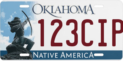 OK license plate 123CIP