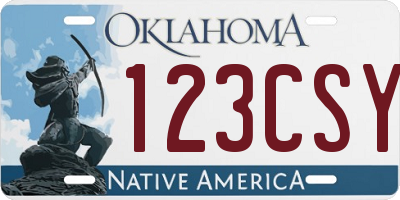OK license plate 123CSY