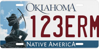OK license plate 123ERM