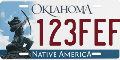 OK license plate 123FEF