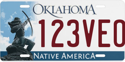 OK license plate 123VEO