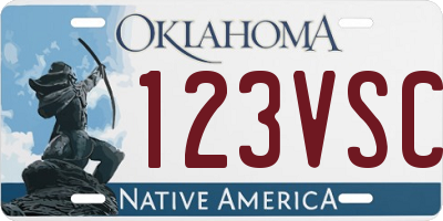 OK license plate 123VSC