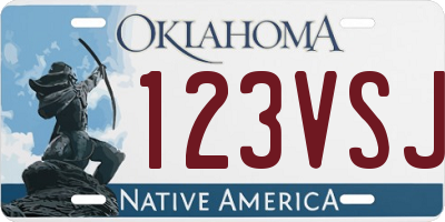 OK license plate 123VSJ