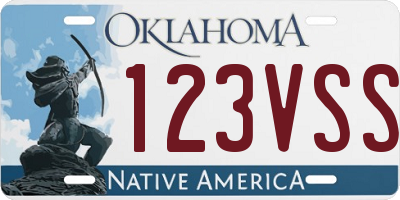 OK license plate 123VSS
