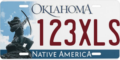 OK license plate 123XLS