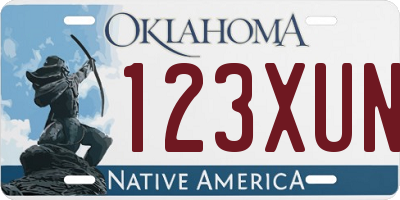 OK license plate 123XUN