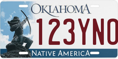OK license plate 123YNO