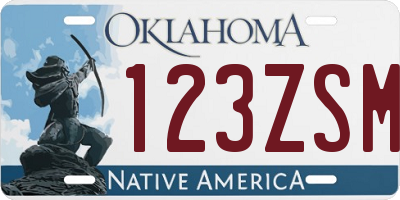 OK license plate 123ZSM