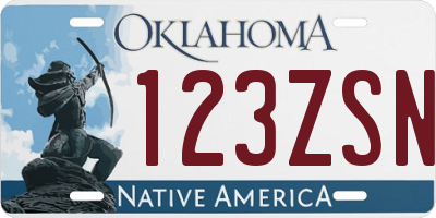 OK license plate 123ZSN