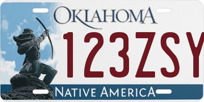 OK license plate 123ZSY