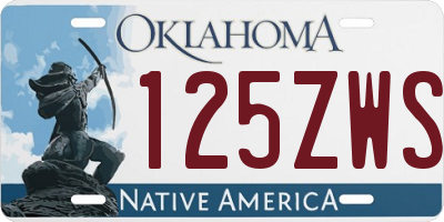 OK license plate 125ZWS