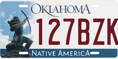 OK license plate 127BZK