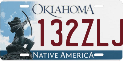 OK license plate 132ZLJ