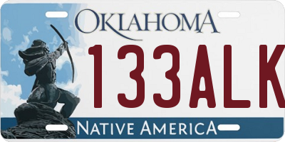 OK license plate 133ALK