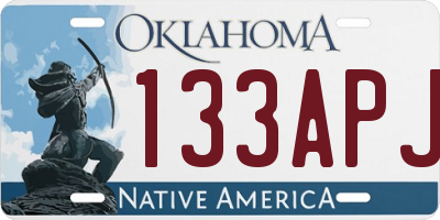 OK license plate 133APJ