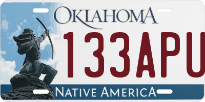 OK license plate 133APU