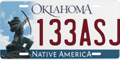 OK license plate 133ASJ