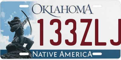 OK license plate 133ZLJ