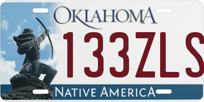 OK license plate 133ZLS
