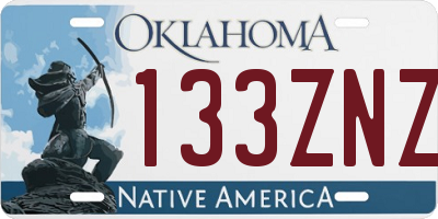 OK license plate 133ZNZ