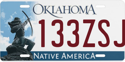 OK license plate 133ZSJ