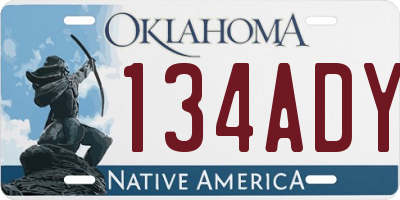 OK license plate 134ADY