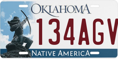 OK license plate 134AGV