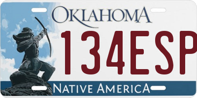 OK license plate 134ESP