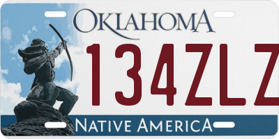 OK license plate 134ZLZ
