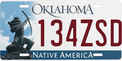 OK license plate 134ZSD