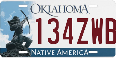 OK license plate 134ZWB