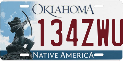 OK license plate 134ZWU