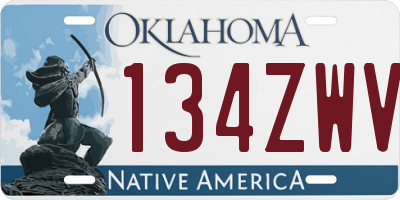 OK license plate 134ZWV