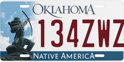 OK license plate 134ZWZ