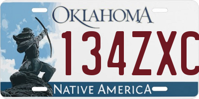 OK license plate 134ZXC