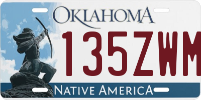 OK license plate 135ZWM