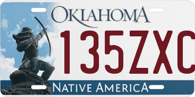 OK license plate 135ZXC