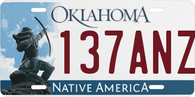 OK license plate 137ANZ