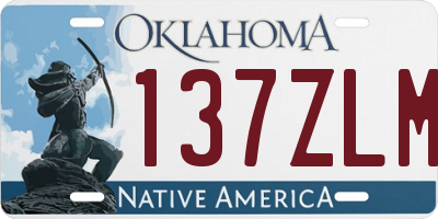OK license plate 137ZLM
