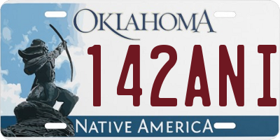 OK license plate 142ANI