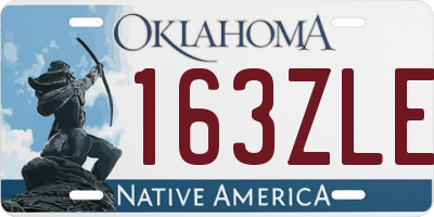 OK license plate 163ZLE