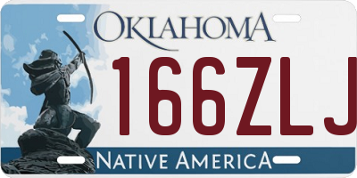 OK license plate 166ZLJ