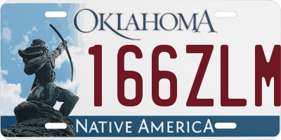 OK license plate 166ZLM