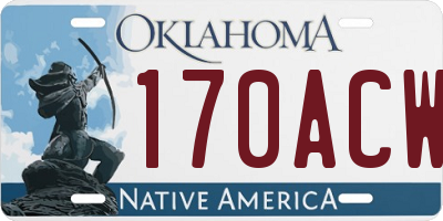 OK license plate 170ACW