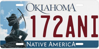 OK license plate 172ANI