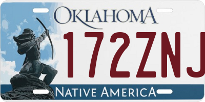 OK license plate 172ZNJ