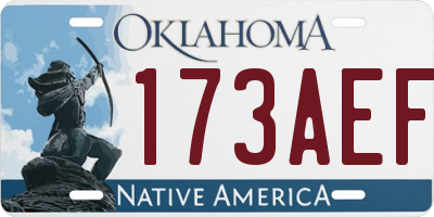 OK license plate 173AEF