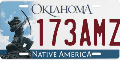 OK license plate 173AMZ