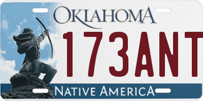 OK license plate 173ANT